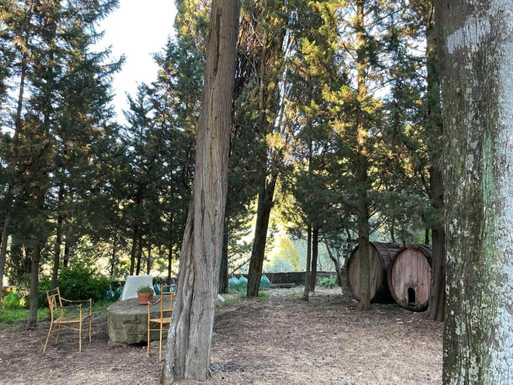 Fattoria Poggio Di Fiesole 빌라 외부 사진