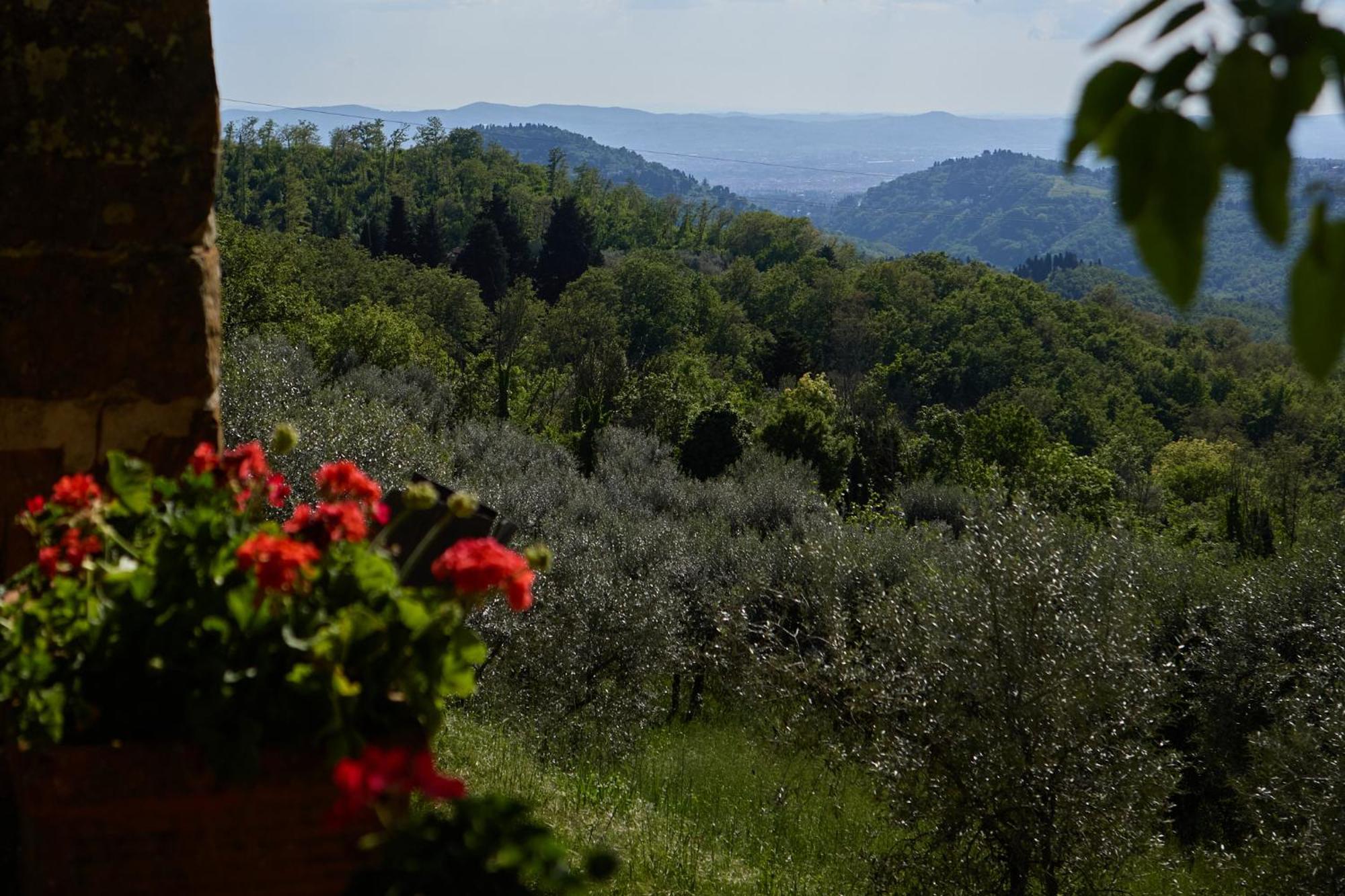 Fattoria Poggio Di Fiesole 빌라 외부 사진